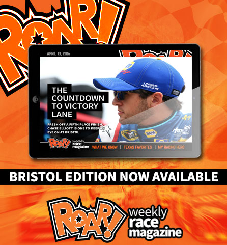 Read more about the article Read ROAR! Now